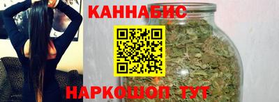 сатива Будённовск