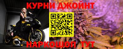 сатива Будённовск