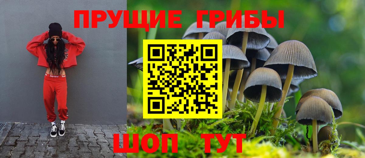 Нальчик  наркотики  Вход с VPN  Псилоцибиновые грибы GOLDEN TEACHER  Галлюциногенные грибы Psilocybine cubensis 